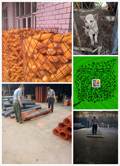 pt2016_07_13_09_54_13_副本.jpg pt2016_07_13_09_54_13_副本.jpg