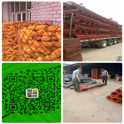 QQ图片20160721102821.jpg QQ图片20160721102821.jpg